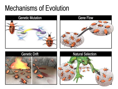 What Is a Key Change in Music and Its Evolutionary Impact